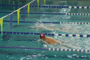 米兰体育app下载安装-孙杨训练画面曝光备战状态良好，孙杨训练有多辛苦